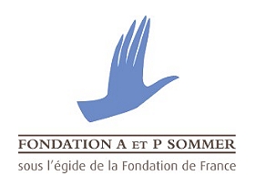 Fondation A. et P. Sommer Fondation A. et P. Sommer