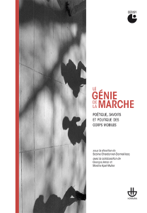 Le gnie de la marche