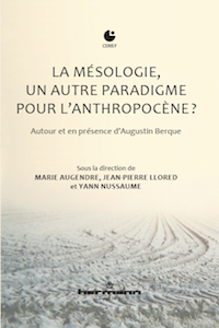 La msologie, un autre paradigme pour l’anthropocne?